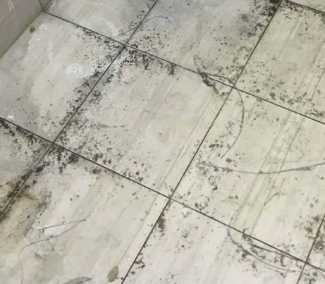 1670311879370491.png image.png